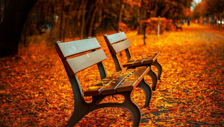 Осень. Пустые скамейки.