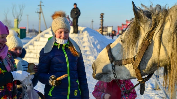 Новогодние каникулы в Белокурихе.