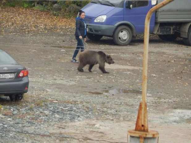 Забавные фотография "мэйд ин Раша".