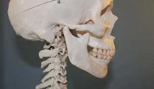 Человеческий череп, кости.