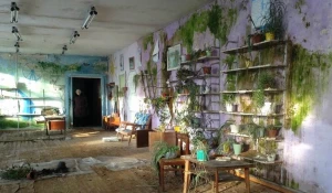 Плесень на стенах верх-камышенского дома культуры.