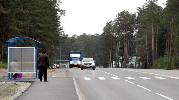 Дорога в Барнауле. Пешеходный переход.