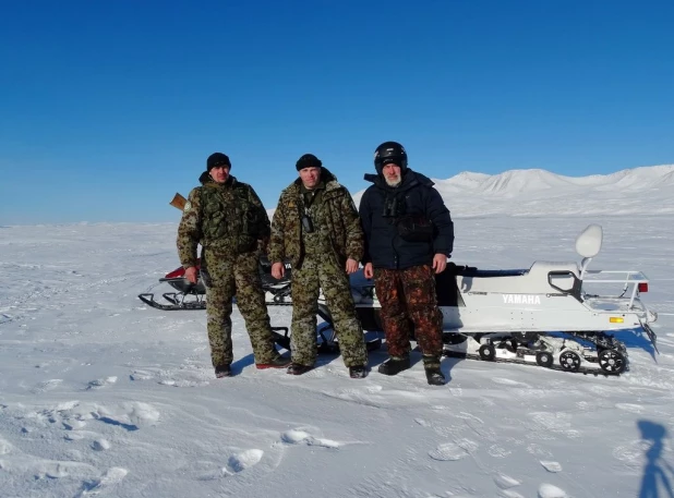 В Алтайском заповеднике проверили зимовку аргали.