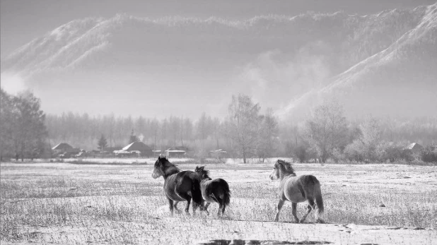 Зимний фототур на Мультинских озерах.