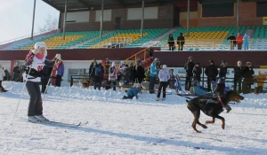 В Барнауле прошли соревнования по скиджорингу "След-2016". 24 января 2016 года.
