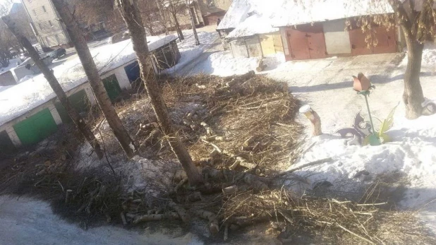 Срезанные ветки во дворе дома на ул. Сизова, 18.