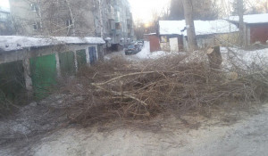 Срезанные ветки во дворе дома на ул. Сизова, 18.
