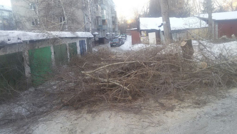 Срезанные ветки во дворе дома на ул. Сизова, 18.