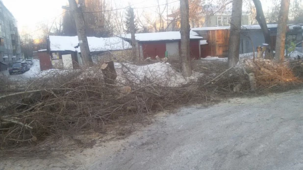 Срезанные ветки во дворе дома на ул. Сизова, 18.