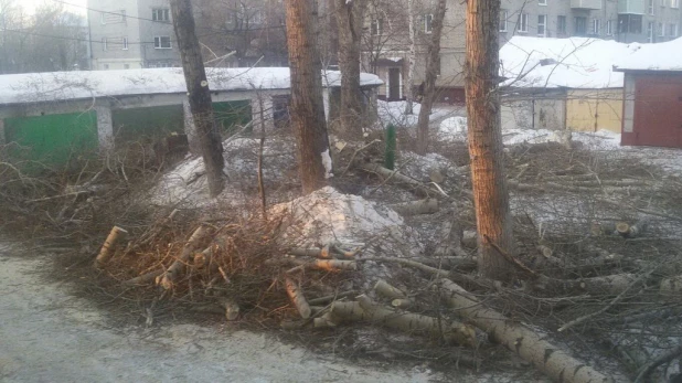 Срезанные ветки во дворе дома на ул. Сизова, 18.