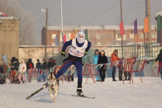 Алтайские спортсмены прошли отбор на чемпионат Европы по гонкам на собачьих упряжках.