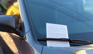 Друзья Дмитрия Найдена проводят пикеты и раздают листовки.