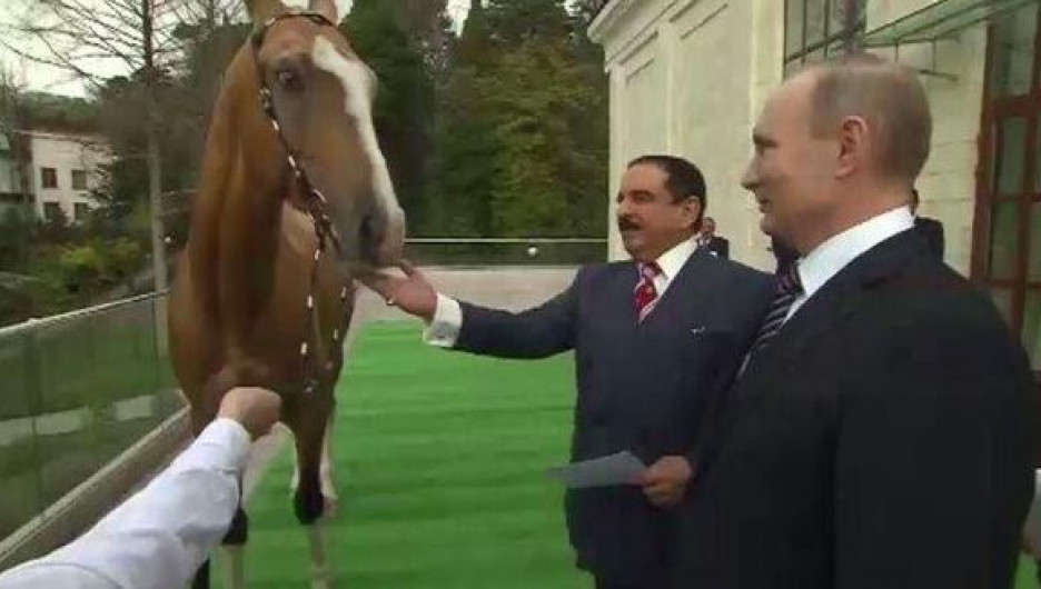 Путин подарил королю Бахрейна породистого скакуна.