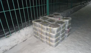 Задержание партии икры.