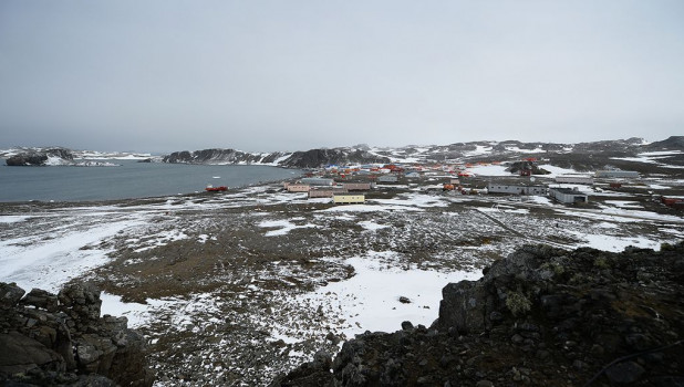 Антарктида, остров Беллинсгаузен.