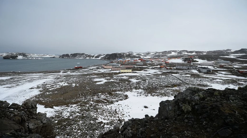 Антарктида, остров Беллинсгаузен.