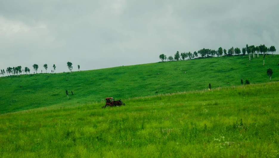 Трактор едет.