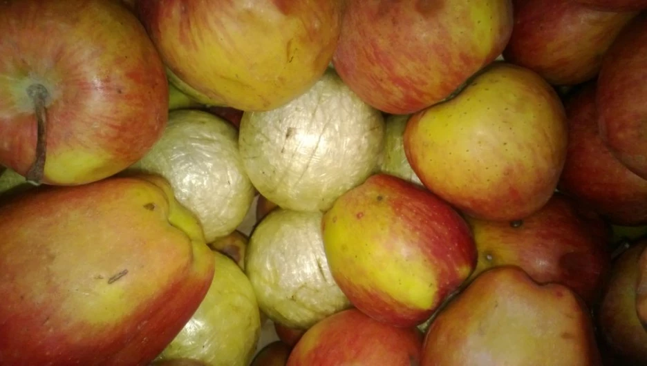 На Алтай завезли почти 200 килограммов героина, замаскированнного в яблоки. 