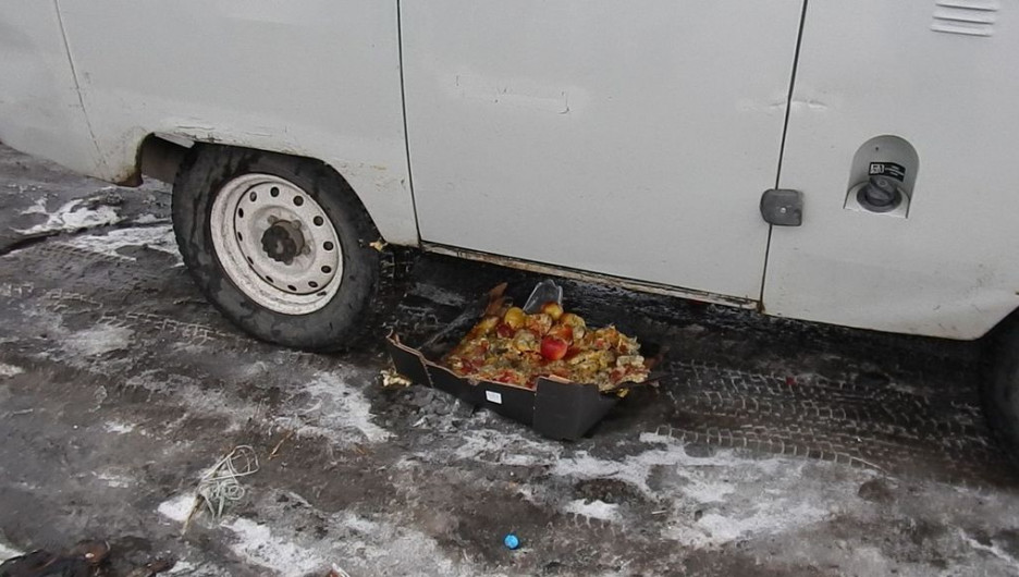 На Алтае уничтожали польские яблоки УАЗом-"буханской".