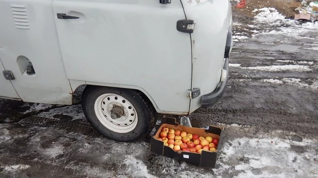 На Алтае уничтожали польские яблоки УАЗом-"буханской".