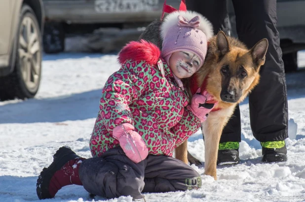 В пригороде Барнаула состоялось открытие Алтайского центра ездового спорта.