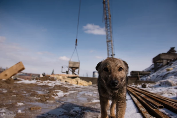 Репортаж со строительства туристического кластера в Барнауле.