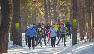 Закрытие лыжного сезона на "Трассе здоровья". 20 марта, 2016 год.