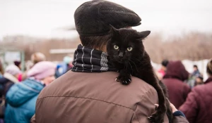 В Барнауле прошел Праздник мартовских котов