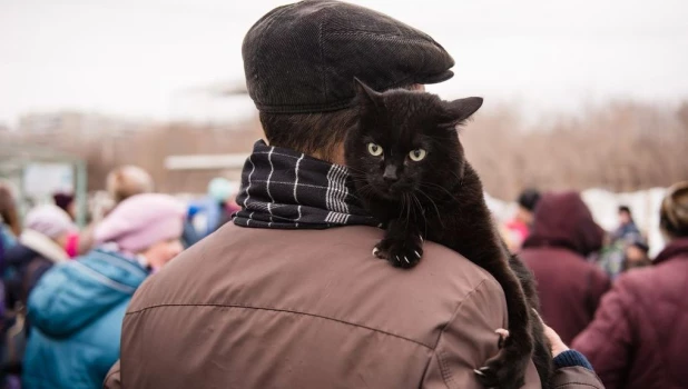 В Барнауле прошел Праздник мартовских котов