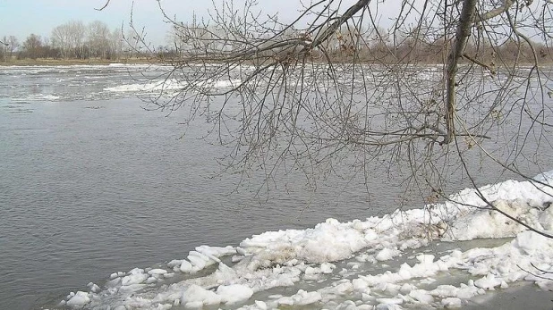 Паводок, Катунь.