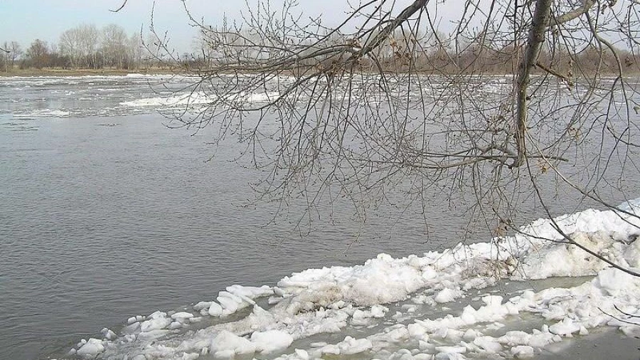 Алтайскому краю грозит мощнейшее наводнение? - фото 2
