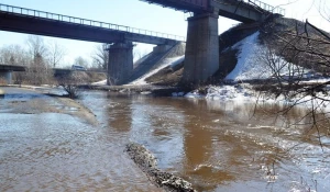 Затопление Ленточного Бора между поселком Кирова и Борзовая Заимка.