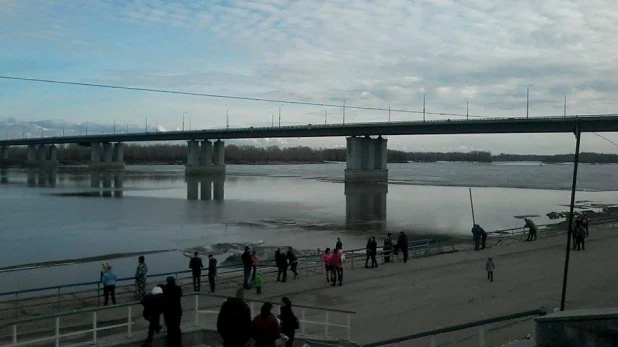 В районе Нового моста Обь очистилась от льда.