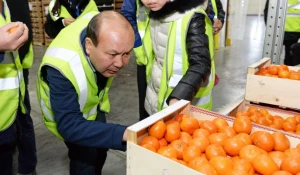 Распределительный центр компании "Аникс" готовится к международной торговле.