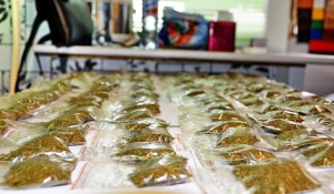 Изъятие крупной партии наркотиков.