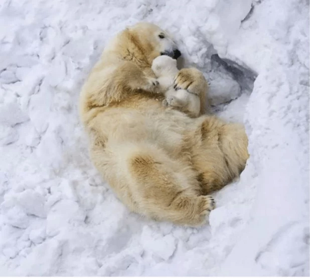 Семейное фото.