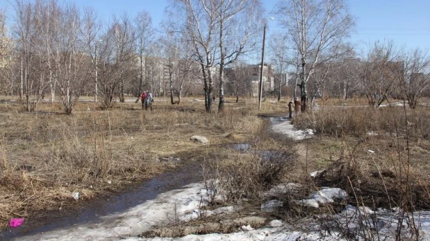 Мизюлинская роща в апреле 2016 года.