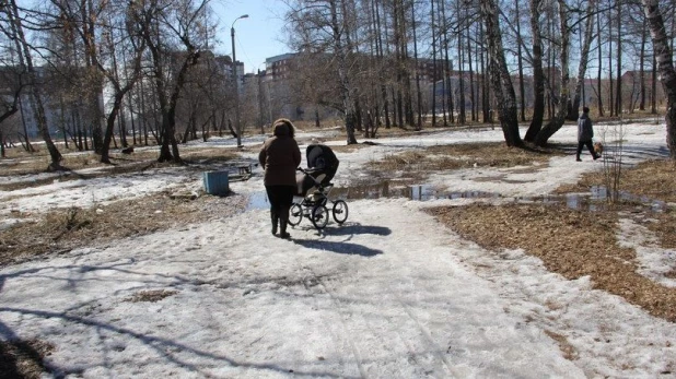 Мизюлинская роща в апреле 2016 года.