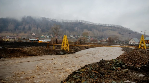 В реках Республики Алтай снова повышается уровень воды. 12 апреля 2016 года.