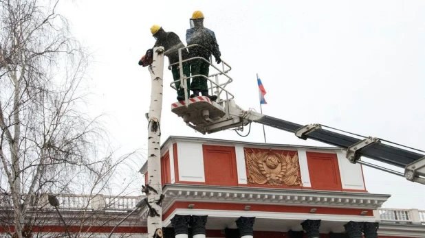 На проспекте Ленина опять спиливают деревья. 16 апреля 2016 года.