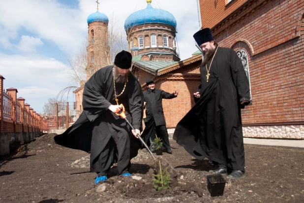 Митрополит Сергий высадил ели.