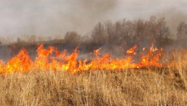 Пожар, сельхозпал.