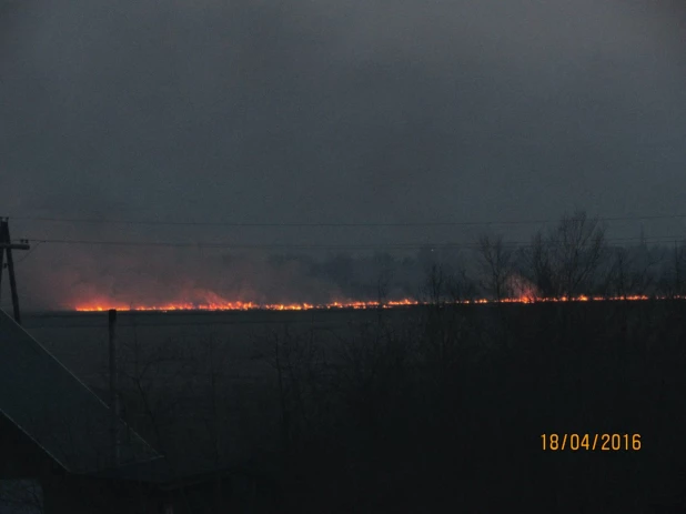 Горят поля возле Новоалтайска, 18 апреля 2016 года.