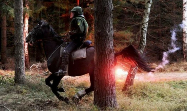 Фото, сделанный в нужное время и в нужном месте.