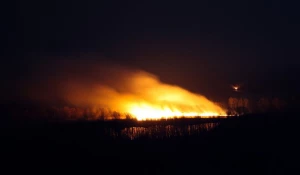 Пожар на правом берегу Оби.