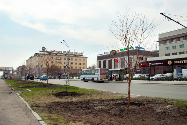 "Голый" проспект Ленина в Барнауле.