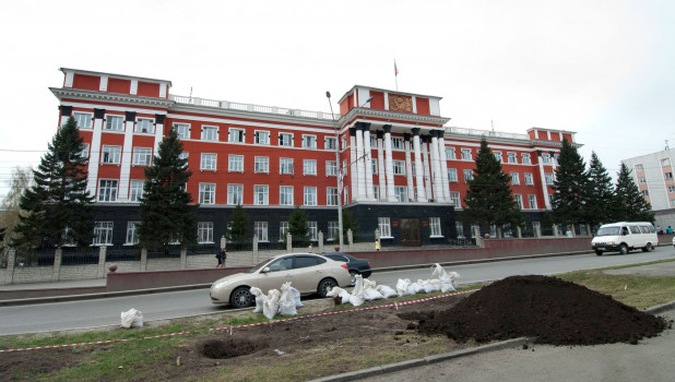 Новые деревья на проспекте Ленина в Барнауле у здания краевого суда.