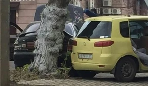 Барнаулец на Camry врезался в дерево.