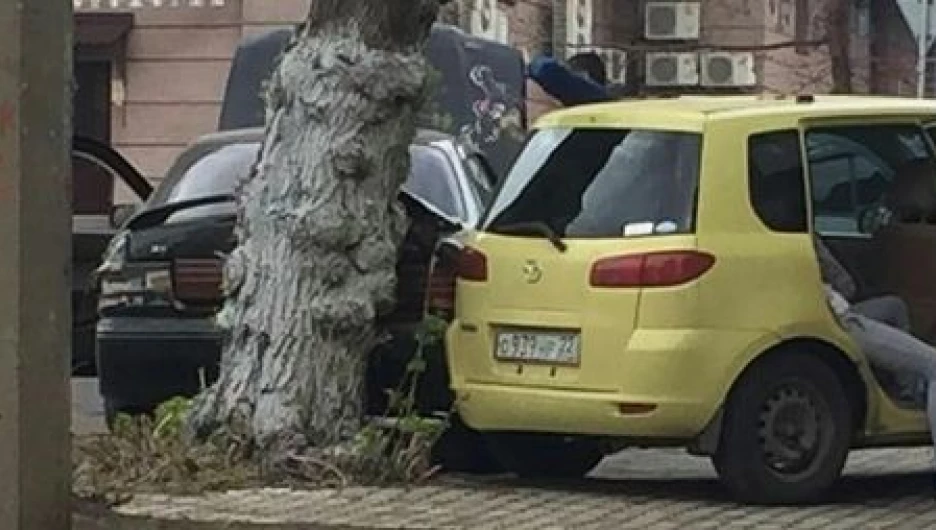 Барнаулец на Camry врезался в дерево.