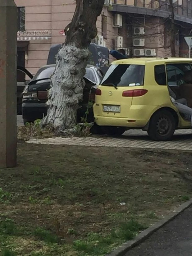 Барнаулец на Camry врезался в дерево.